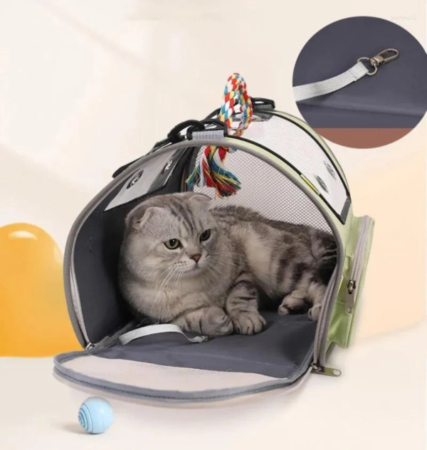 Bolso Transportador Plegable para Gatos y Mascotas Pequeñas - Imagen 6